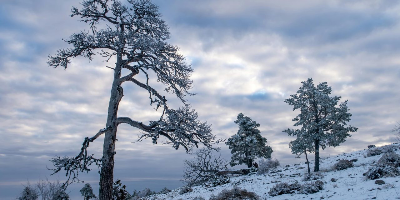 BEAUTIFUL NATURE & LANDSCAPES